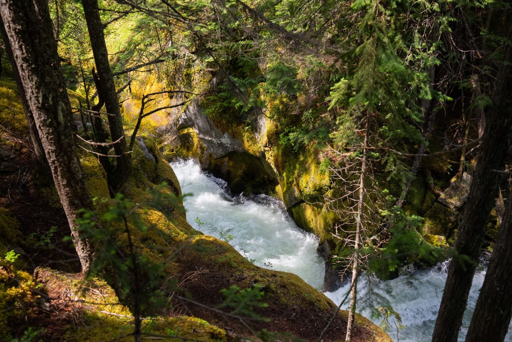 Kokanee Creek Provincial Park