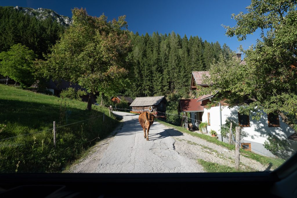 Solčava Panoramic Road
