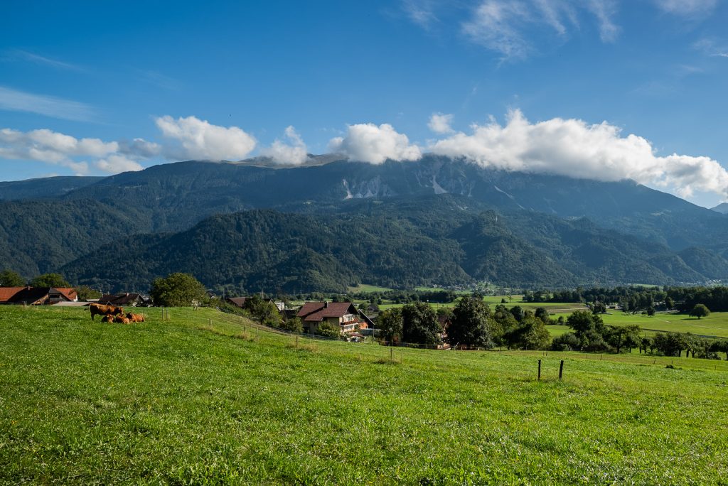 Soteska Vintgar Trail