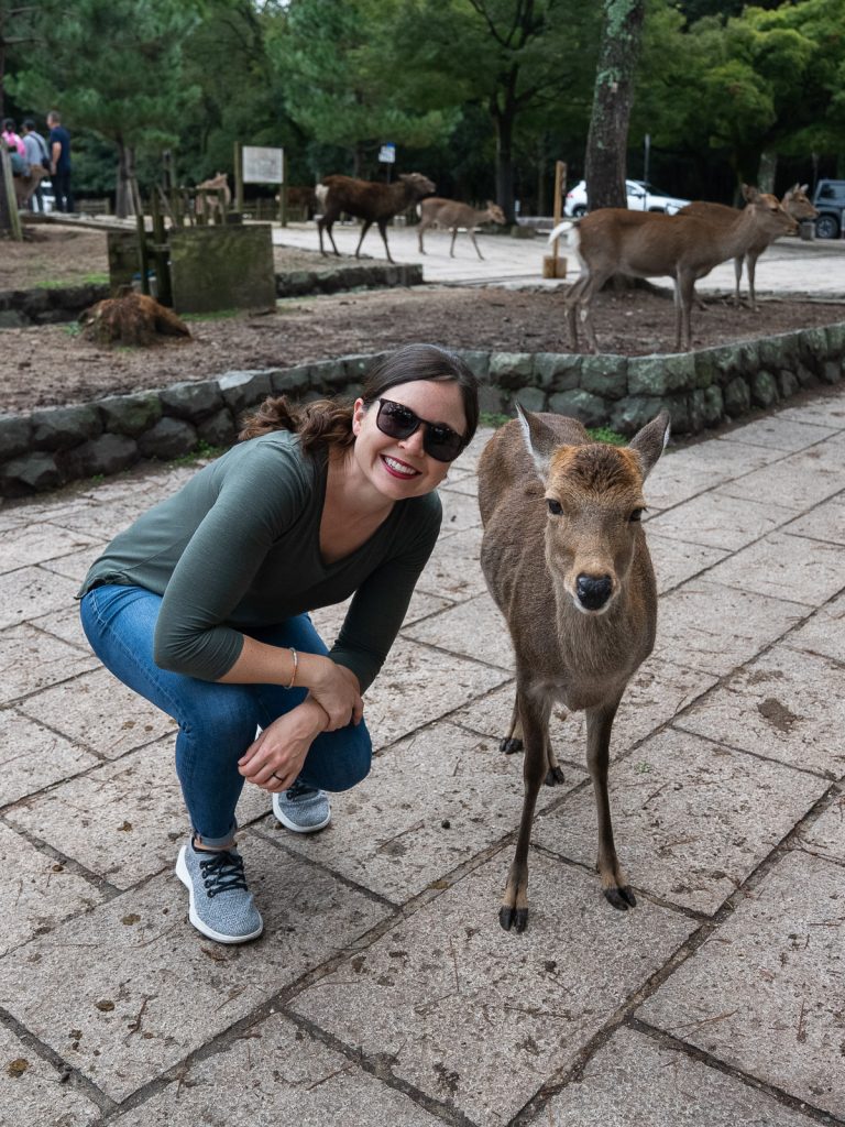 Nara Day trip from Kyoto