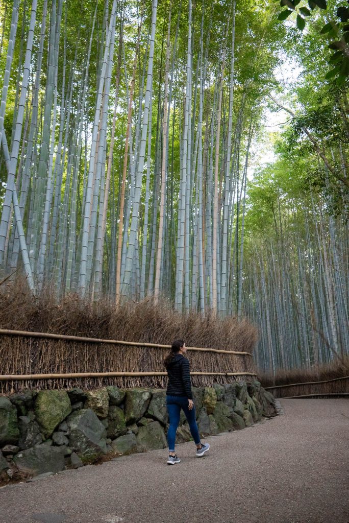 Arashiyama Bamboo Grove | 3 days in Kyoto Itinerary