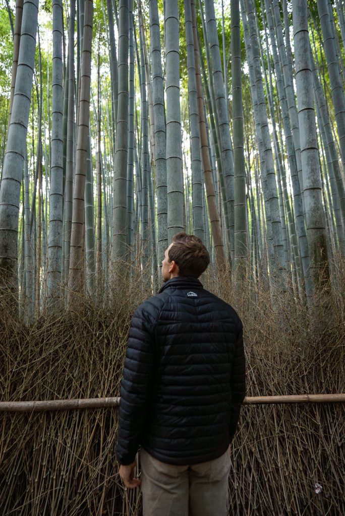Arashiyama Bamboo Grove | 3 days in Kyoto Itinerary