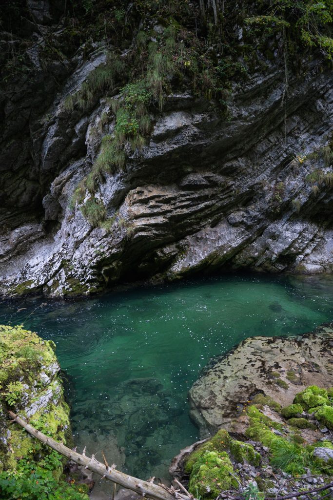 Vintgar Gorge