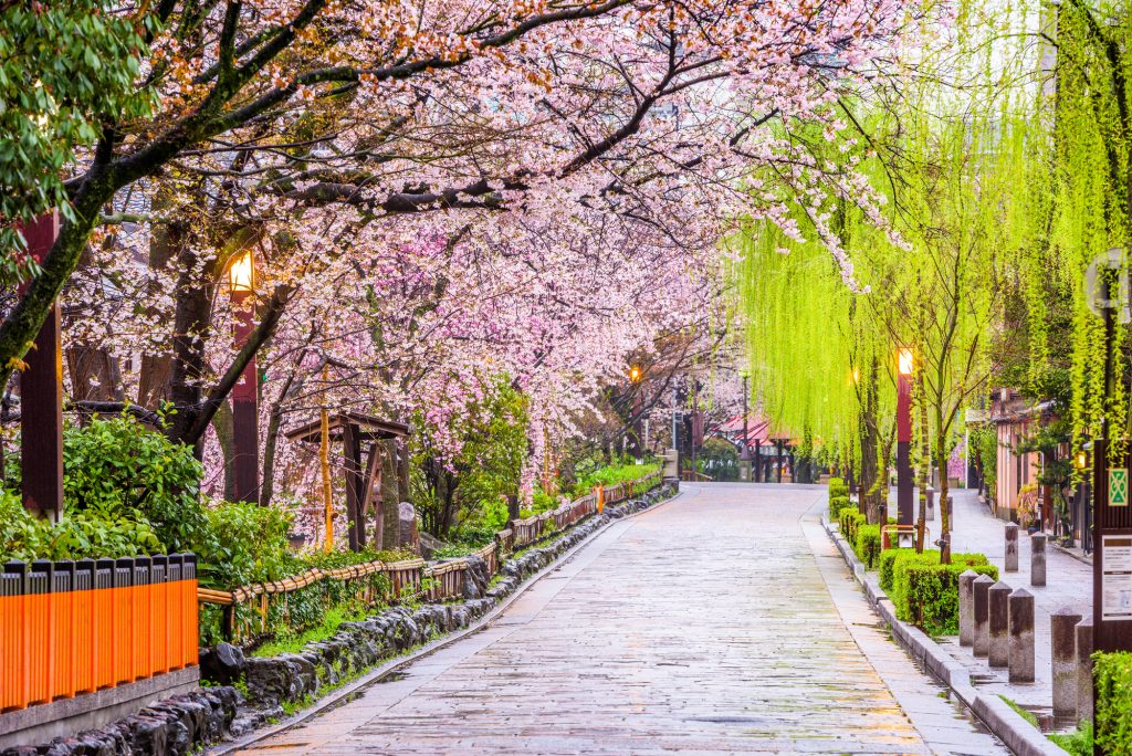 Kyoto in spring