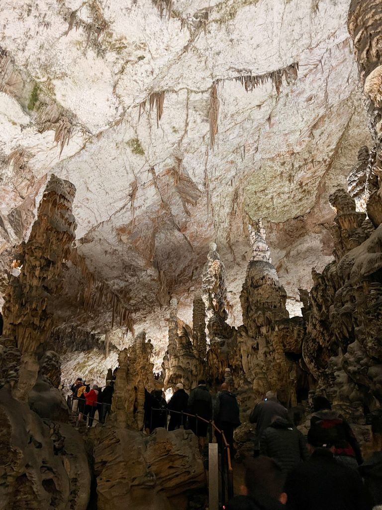 Postojna Cave Tour