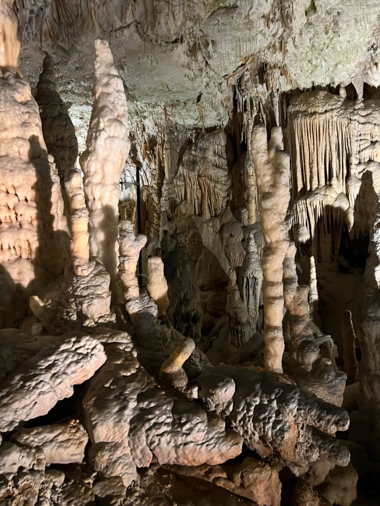 Postojna Cave Tour