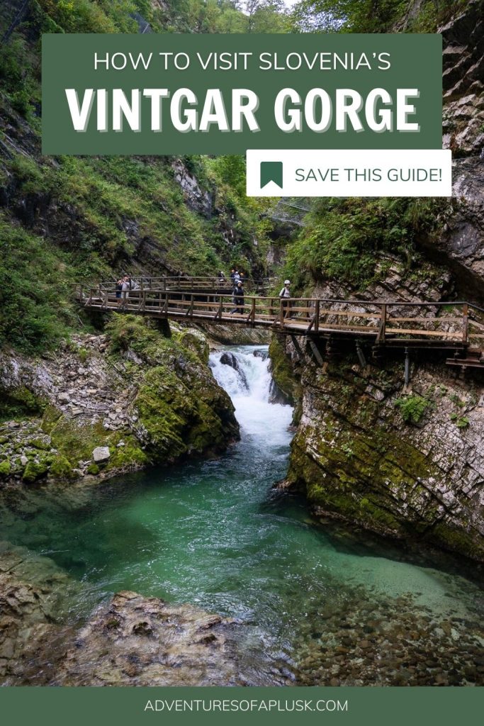 How to visit Vintgar Gorge in Slovenia: Everything to know!