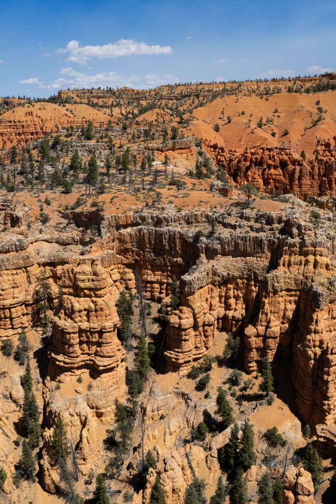 Red Canyon | Best places to visit in Utah