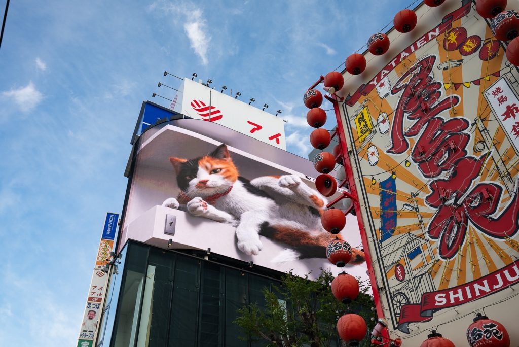 Things to do in Shibuya