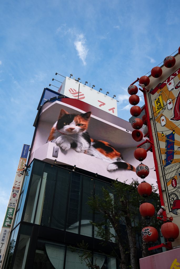 Things to do in Shibuya