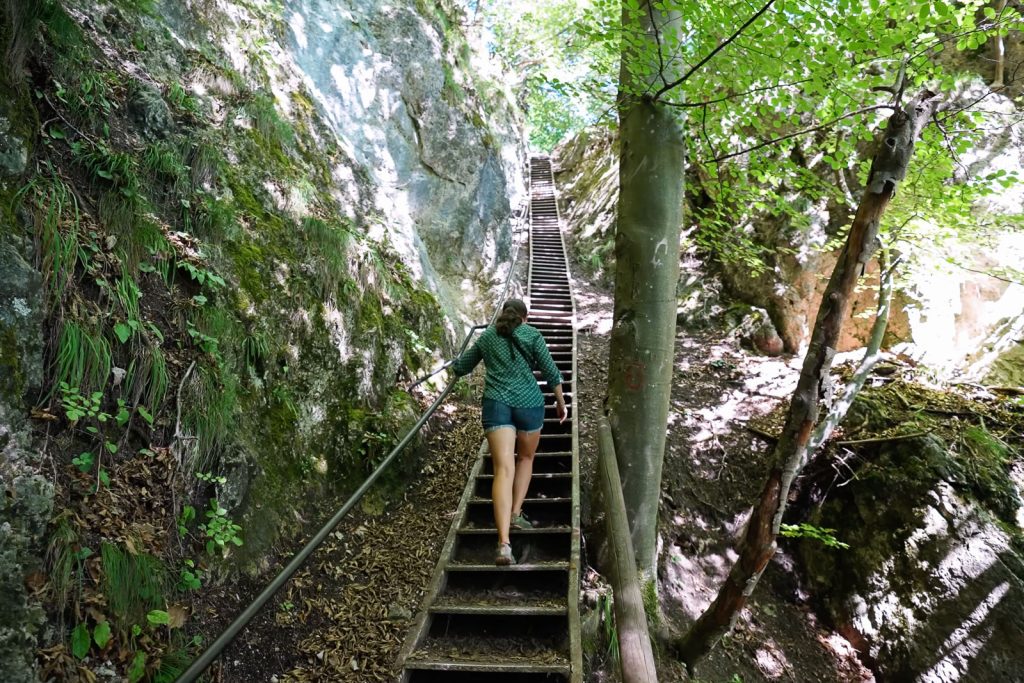 Mala Osojnica and Ostrica Trail