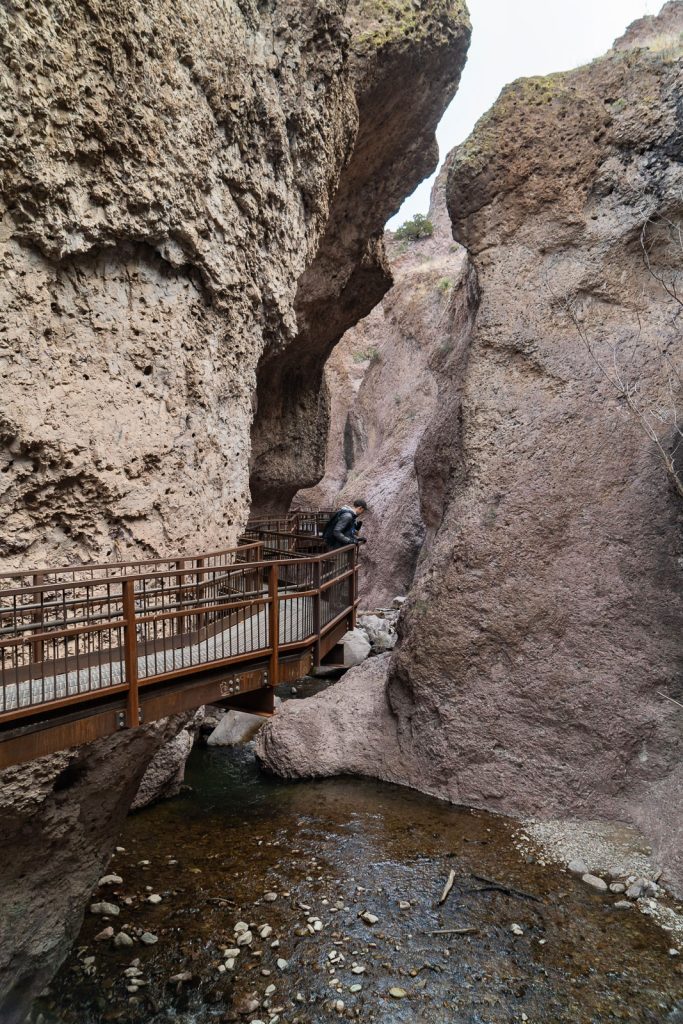 Gila National Forest