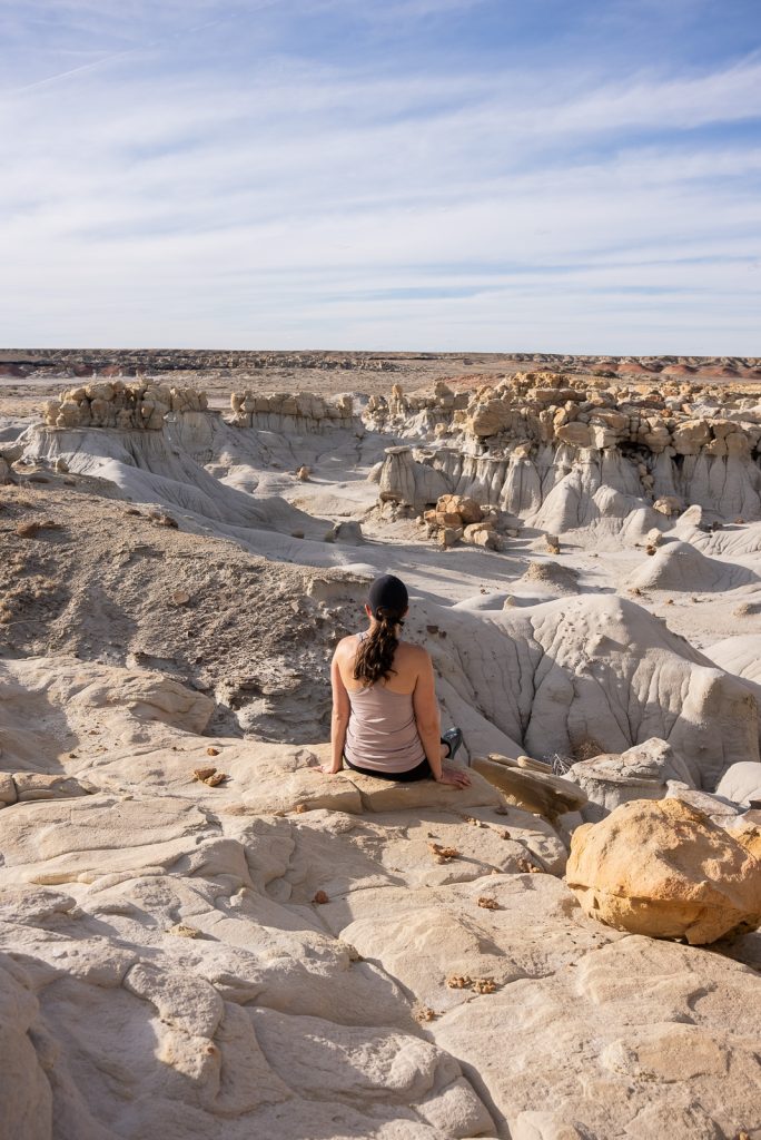 Bisti/De-Na-Zin Wilderness