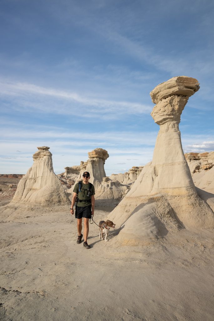 Bisti/De-Na-Zin Wilderness