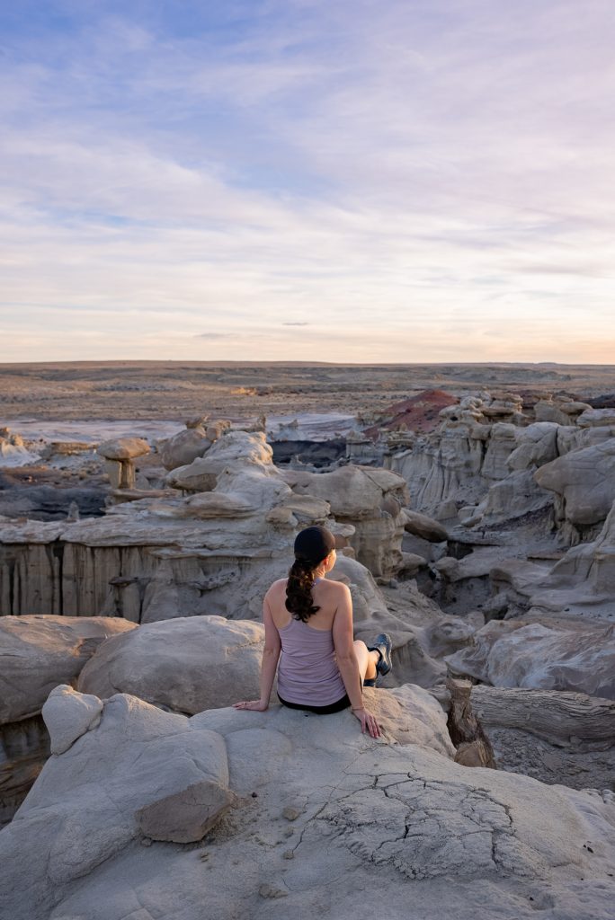 Bisti/De-Na-Zin Wilderness