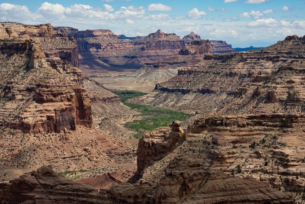Little Grand Canyon | 38 Epic Things to Do in Southern Utah