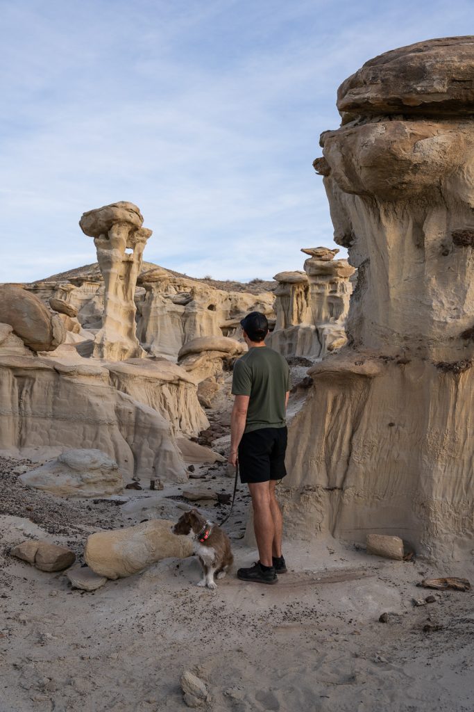 Bisti/De-Na-Zin Wilderness