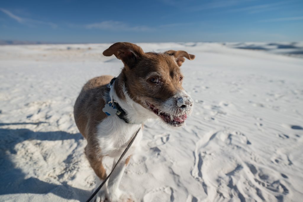 White Sands National Park