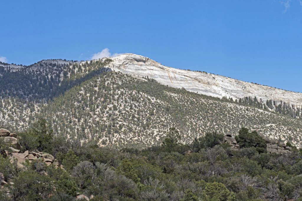 Serviceberry Loop Best Hikes at Great Basin
