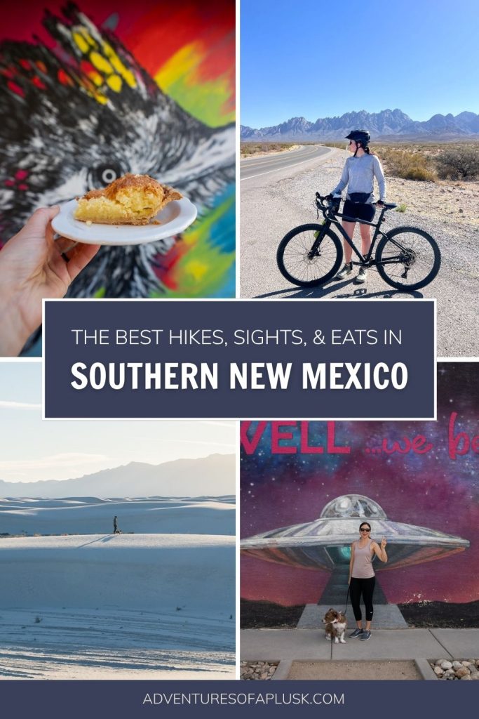 22 Fun Things to Do in Southern New Mexico