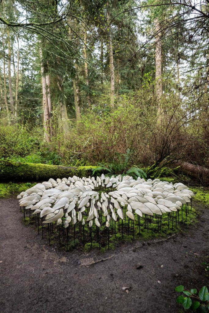 Coupeville | Things to do on Whidbey Island