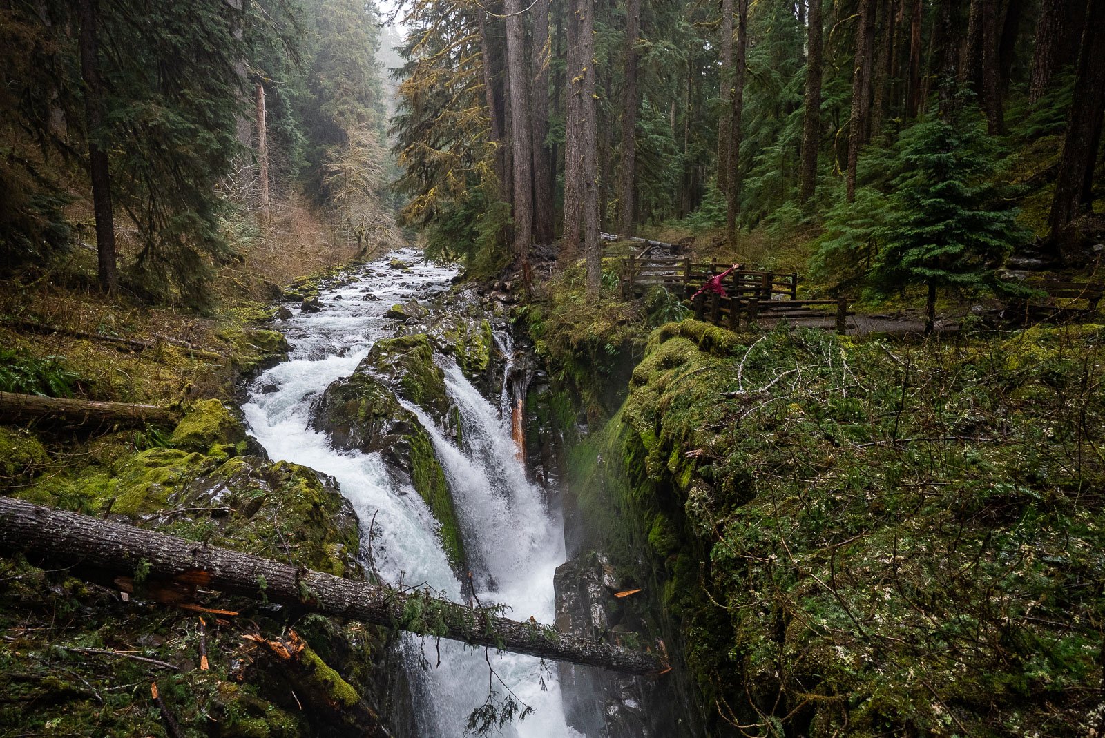 24 Washington Waterfalls You Have to See (A Locals Guide!) 