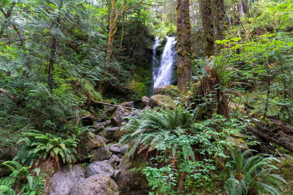 Things to do on the Olympic Peninsula