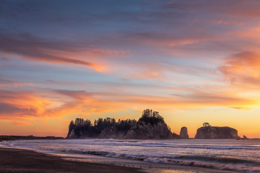 Things to do on the Olympic Peninsula