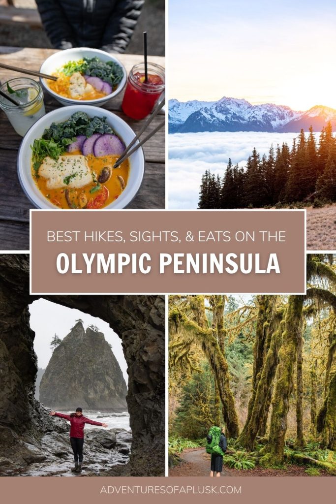 27+ Fun Things to do on the Olympic Peninsula