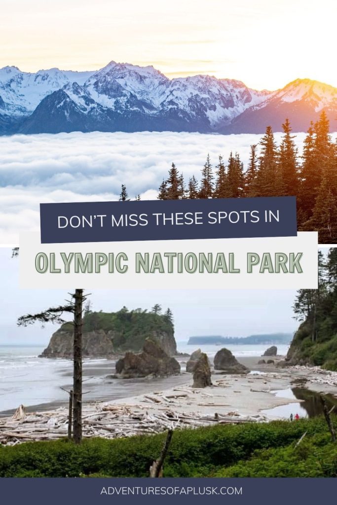 20+ Best Things to Do in Olympic National Park (A Locals Guide!)