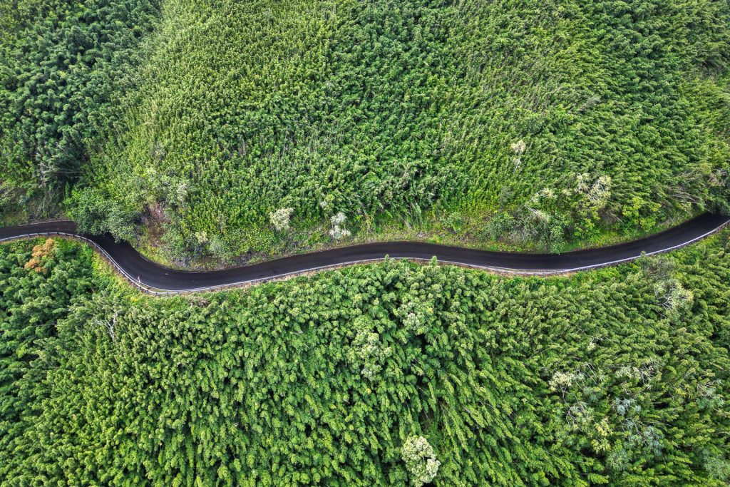 Driving the Road to Hana