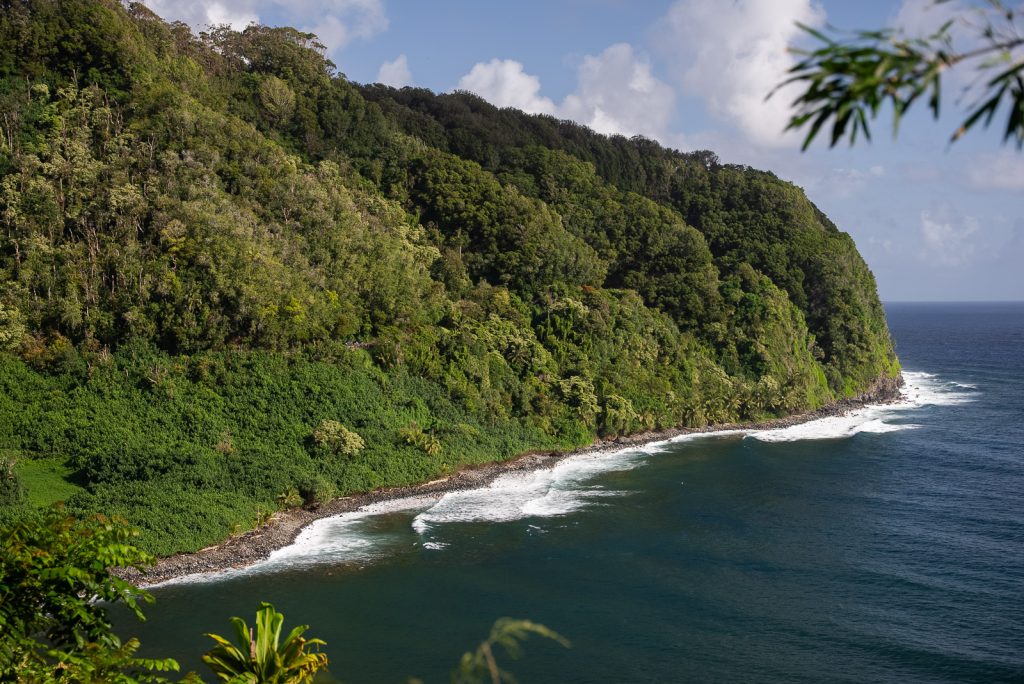 Best Stops on the Road to Hana