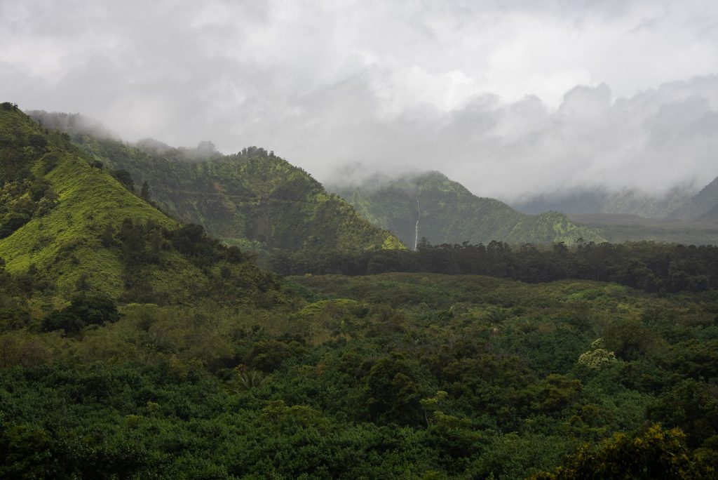 Best Stops on the Road to Hana