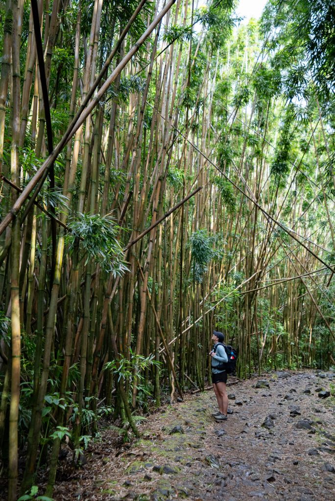 Pipiwai Trail - Things to do at Haleakala National Park