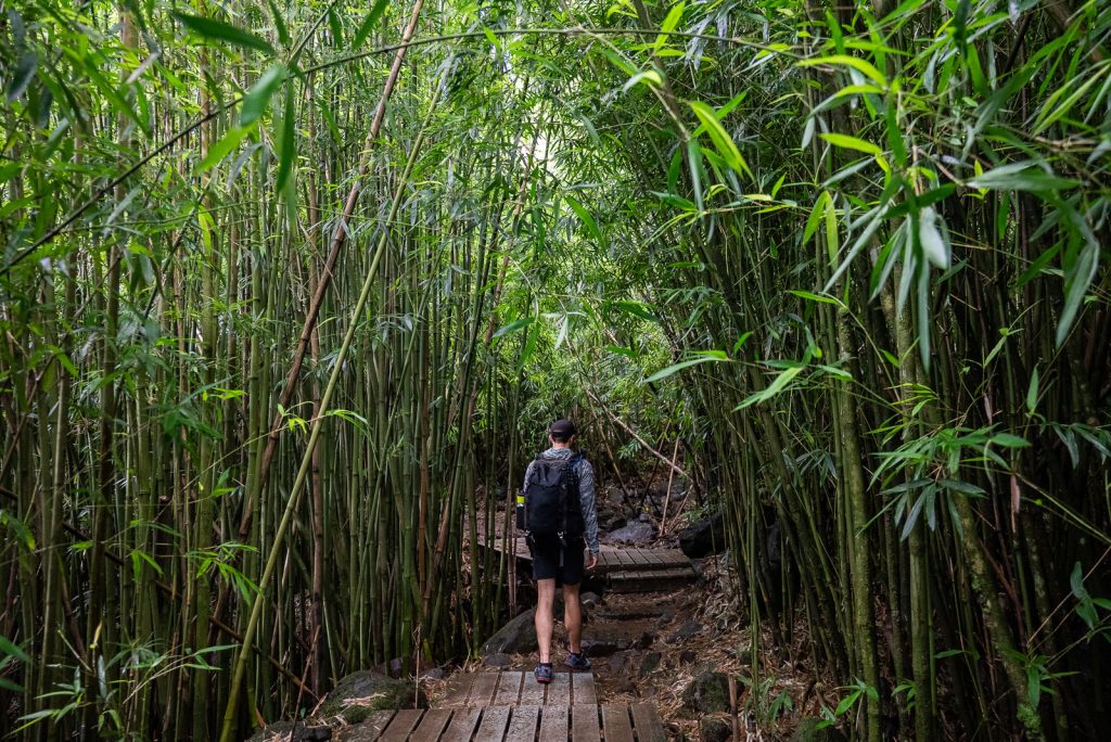 Pipiwai Trail - Things to do at Haleakala National Park
