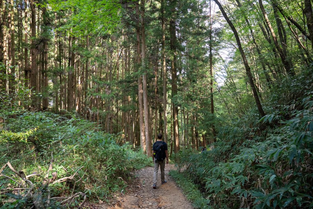 Nakasendo Trail- Magome to Tsumago