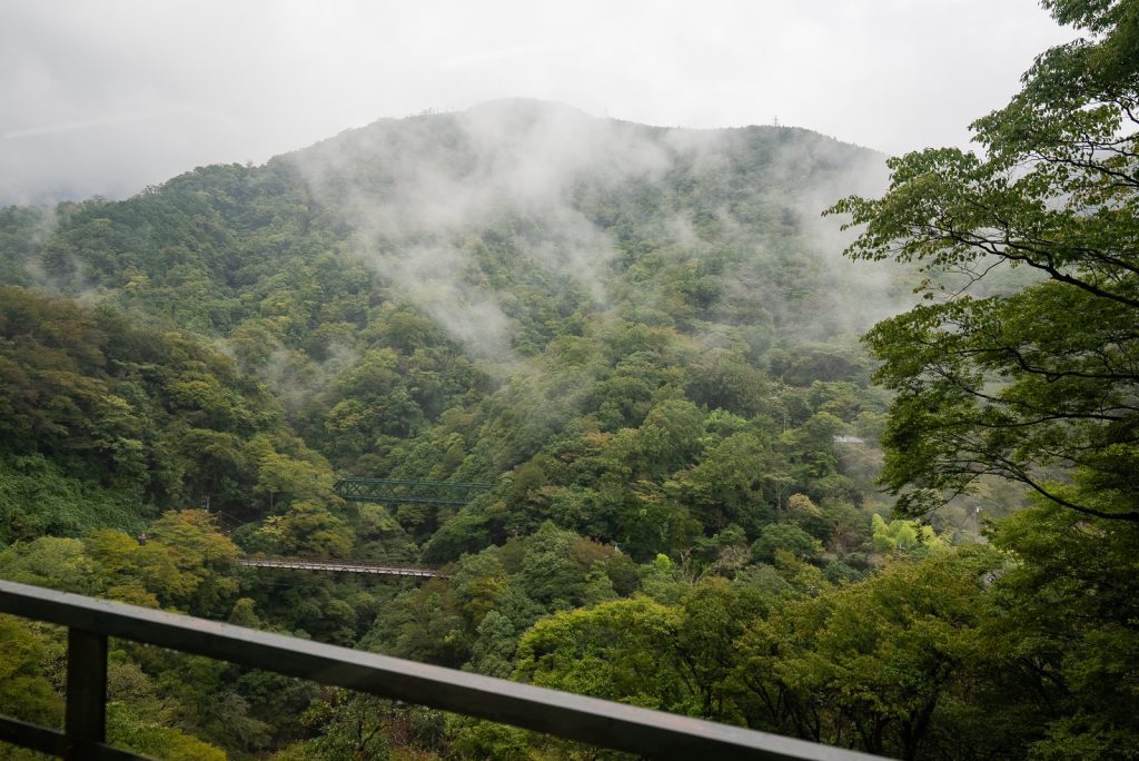 Hakone Free Pass