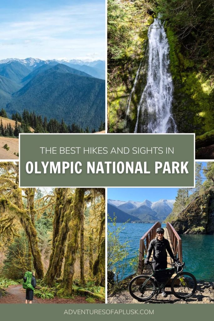 20+ Best Things to Do in Olympic National Park (A Locals Guide!)