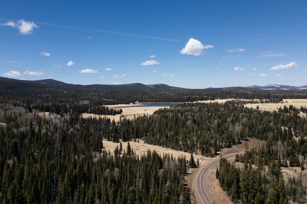 Apache-Sitgreaves National Forests- Best places to visit in Arizona