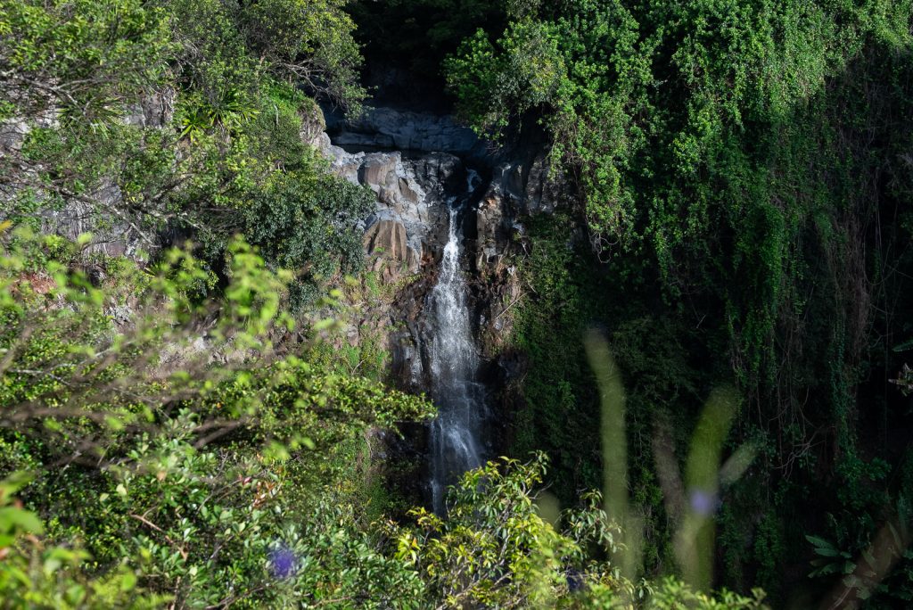 Pipiwai Trail to Waimoku Falls