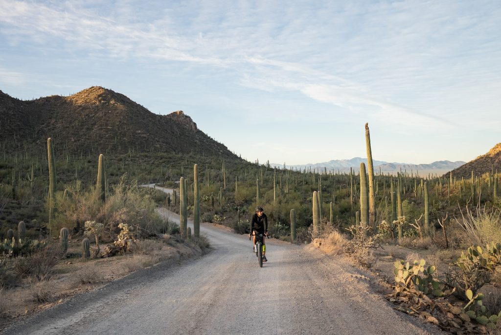 Saguaro National Park