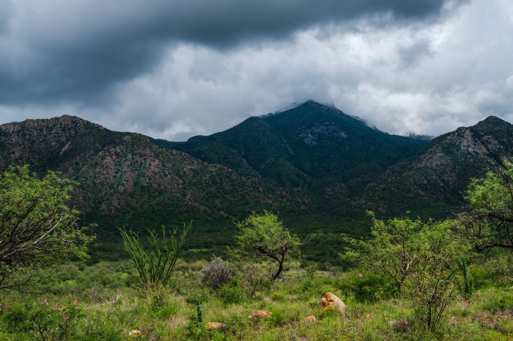Madera Canyon- Best places to visit in Arizona