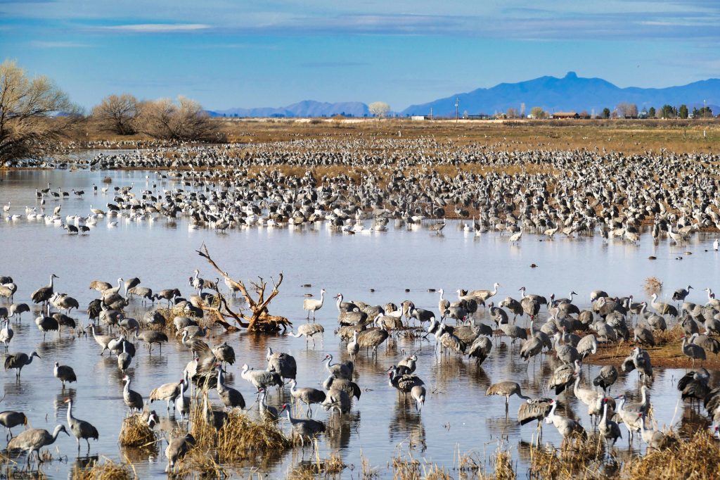 Best places to visit in Arizona