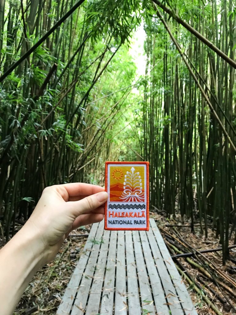 Pipiwai Trail to Waimoku Falls
