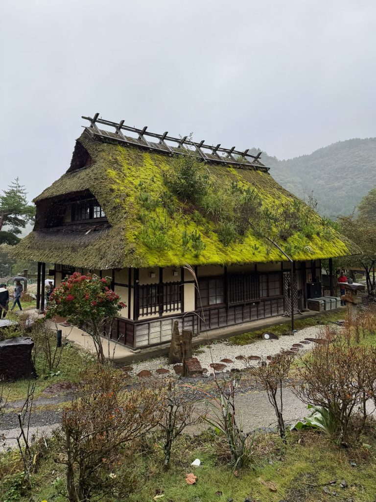 Saiko Iyashi-no-Sato Nemba