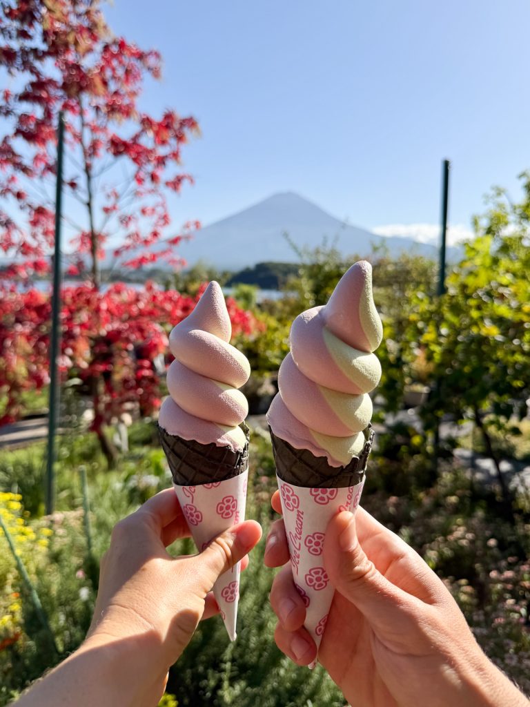Oishi Park Cafe- Things to do in Mount Fuji
