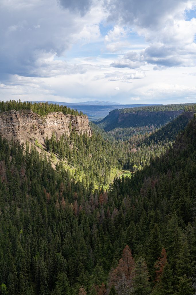 Chasm Canyon- Best places to visit in British Columbia