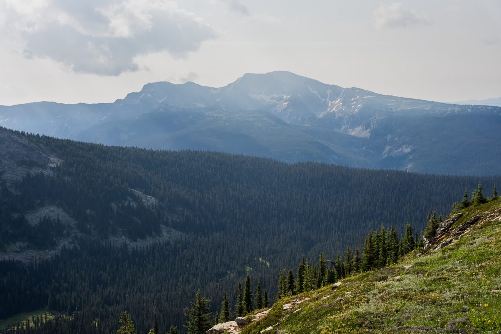 Trophy Meadows- Wells Gray Provincial Park