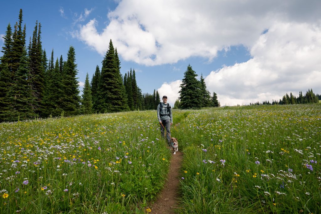 Trophy Meadows- Wells Gray Provincial Park