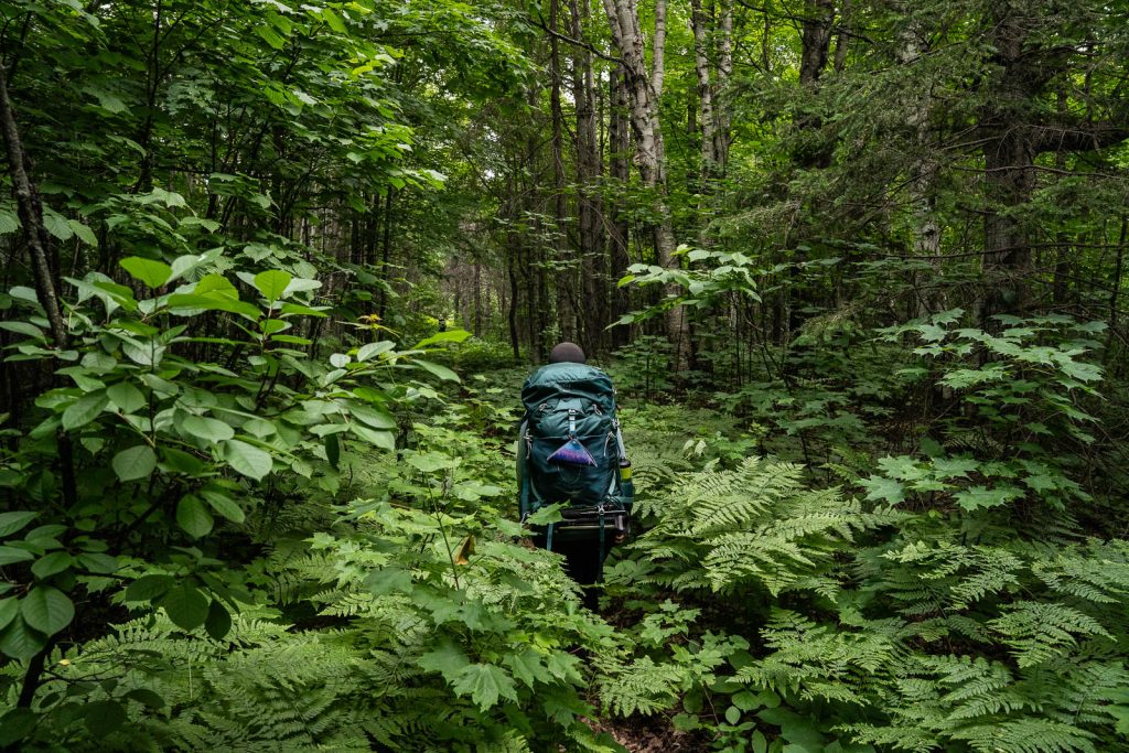 Backpacking Isle Royale National Park